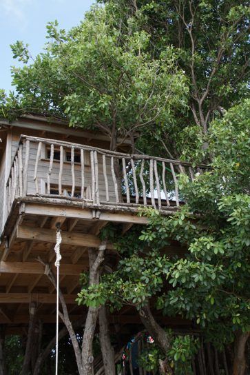 La cabane dans les arbres