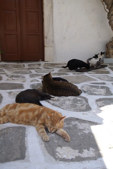 La chapelle aux chats, à Parikia